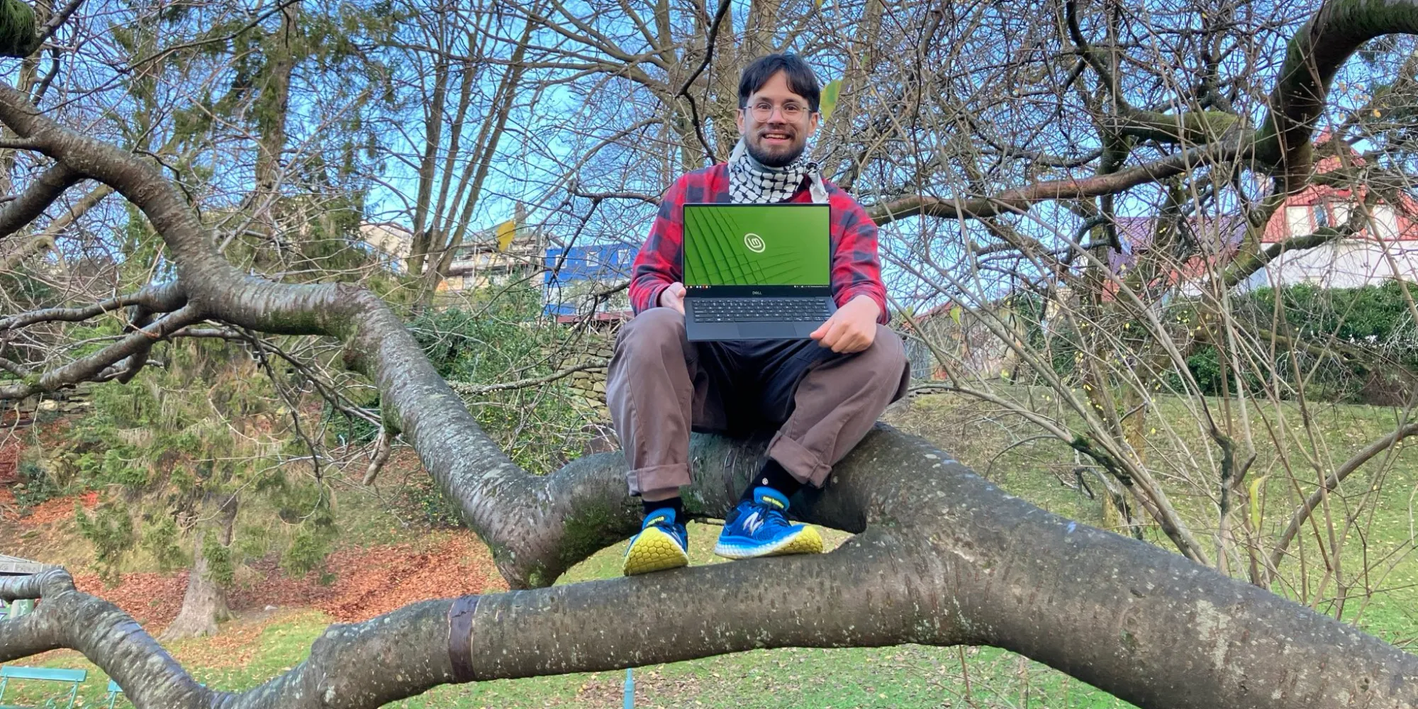 Person som sit i eit tre og help på ein datamaskin med ein Linux mint logo