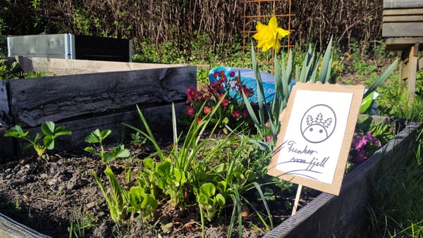 Blomsterbed med eit skilt der det står "Funker som fjell."