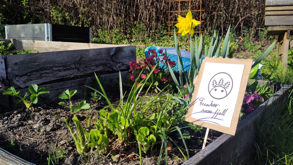 Blomsterbed med eit skilt der det står "Funker som fjell."